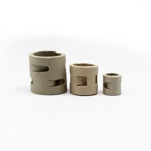 טבעות אריזה קרמיקה Pall Ring